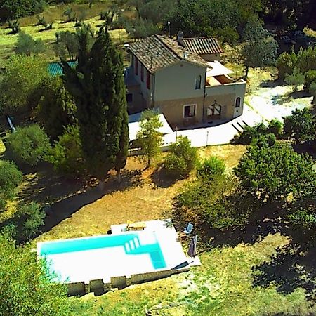 Le Giuncaie - Vigna Con Alloggio Montescudaio Eksteriør bilde
