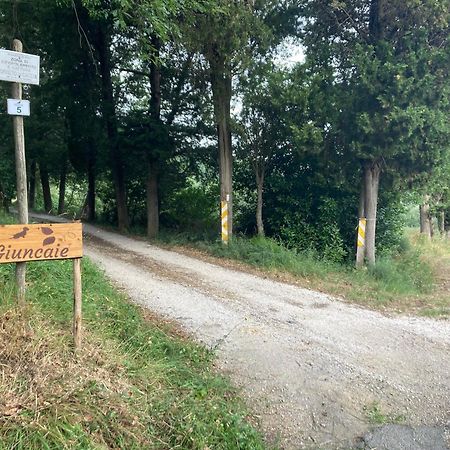 Le Giuncaie - Vigna Con Alloggio Montescudaio Eksteriør bilde