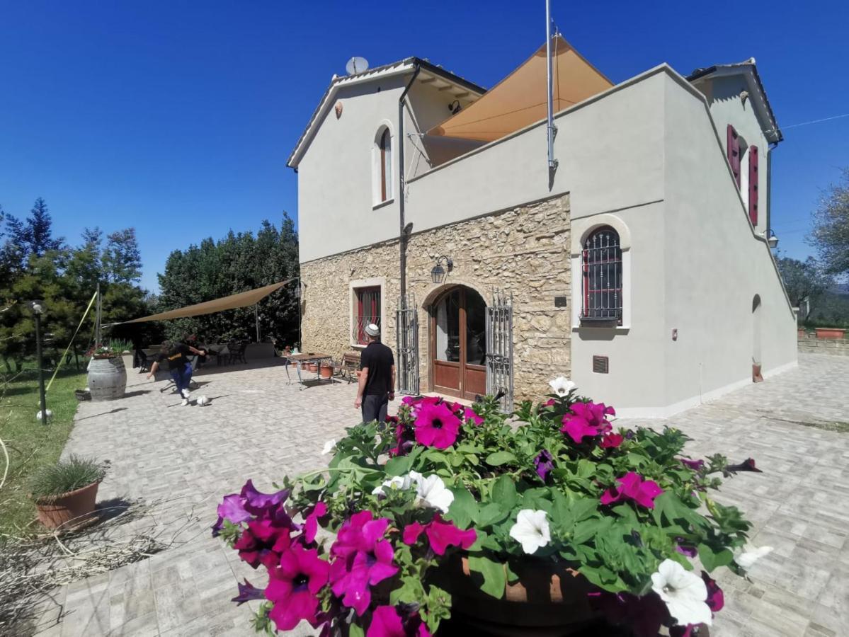 Le Giuncaie - Vigna Con Alloggio Montescudaio Eksteriør bilde