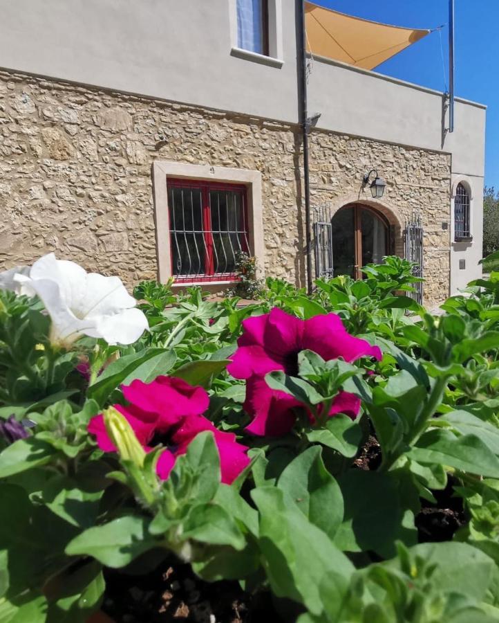 Le Giuncaie - Vigna Con Alloggio Montescudaio Eksteriør bilde