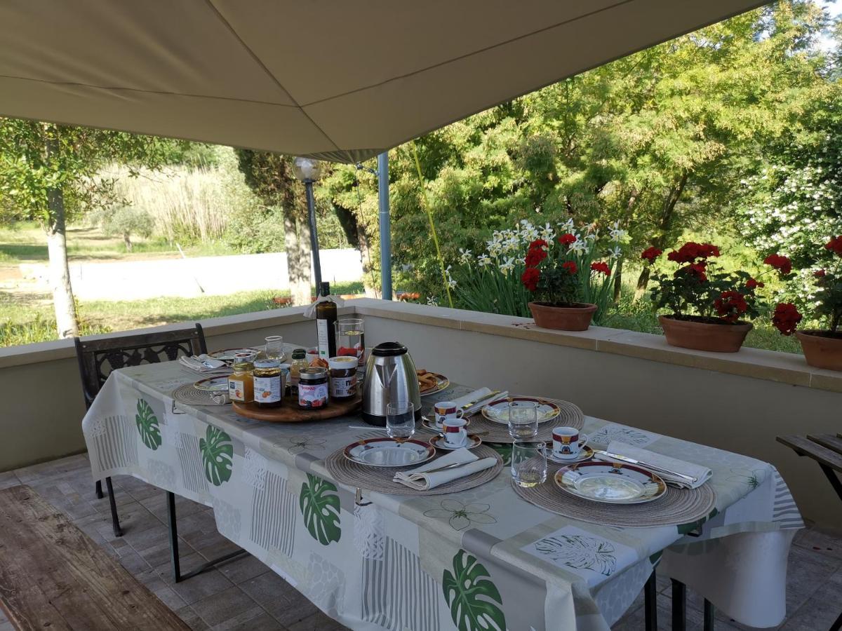 Le Giuncaie - Vigna Con Alloggio Montescudaio Eksteriør bilde