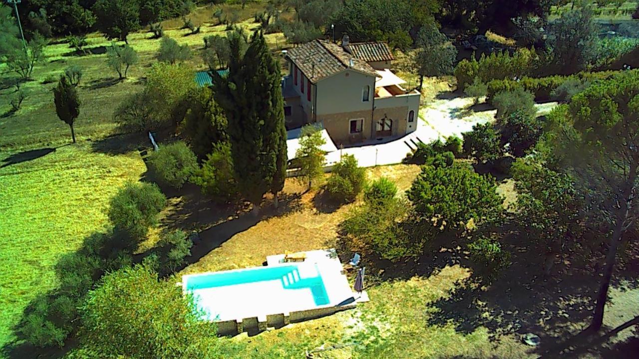 Le Giuncaie - Vigna Con Alloggio Montescudaio Eksteriør bilde