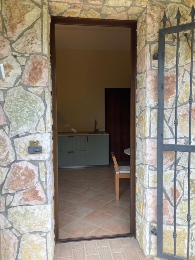 Le Giuncaie - Vigna Con Alloggio Montescudaio Eksteriør bilde