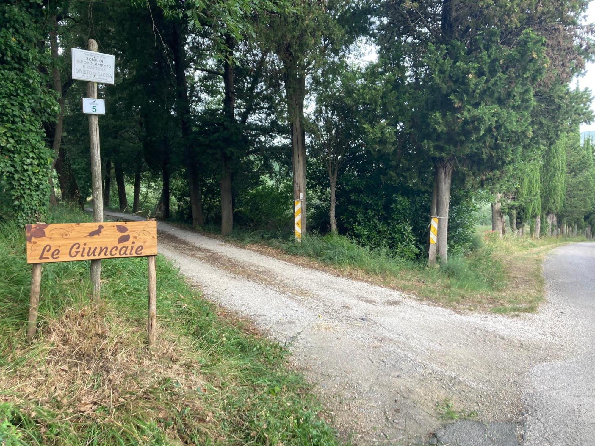 Le Giuncaie - Vigna Con Alloggio Montescudaio Eksteriør bilde